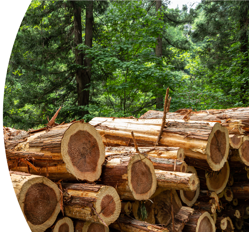 木製パレットは環境に優しい