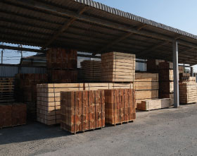 フォトギャラリー2